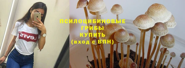 стаф Алексеевка