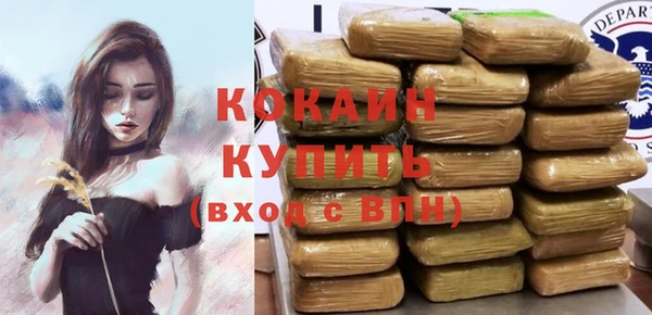 твердый Алексин